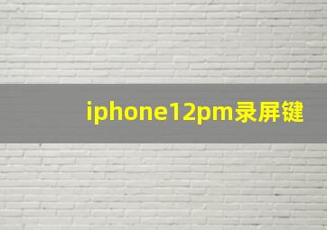 iphone12pm录屏键