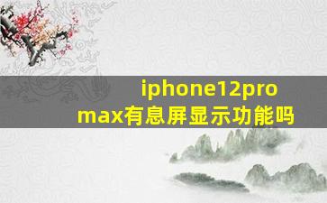 iphone12promax有息屏显示功能吗