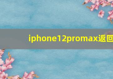 iphone12promax返回