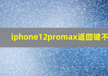 iphone12promax返回键不灵敏