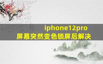 iphone12pro屏幕突然变色锁屏后解决