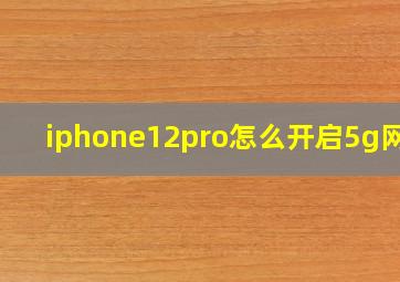 iphone12pro怎么开启5g网络