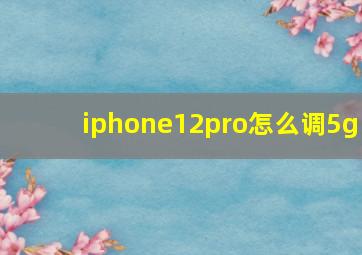 iphone12pro怎么调5g