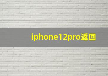 iphone12pro返回