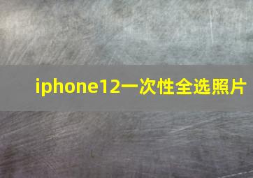 iphone12一次性全选照片