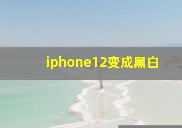 iphone12变成黑白