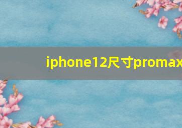 iphone12尺寸promax