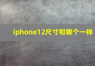 iphone12尺寸和哪个一样