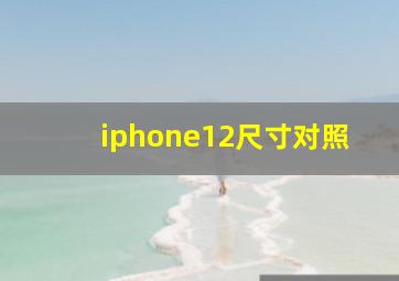 iphone12尺寸对照