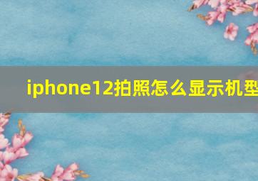 iphone12拍照怎么显示机型