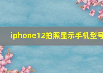 iphone12拍照显示手机型号