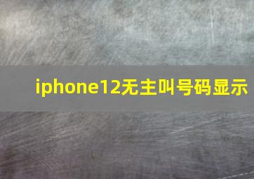 iphone12无主叫号码显示