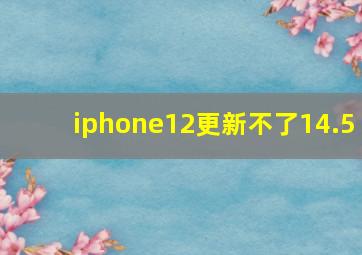 iphone12更新不了14.5