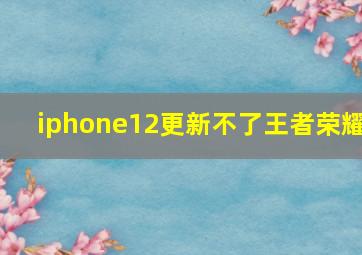 iphone12更新不了王者荣耀