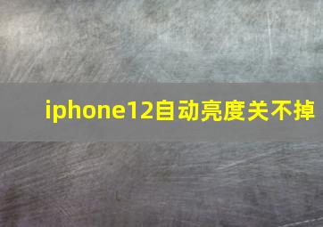 iphone12自动亮度关不掉