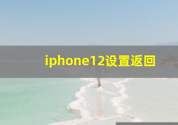 iphone12设置返回