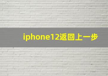 iphone12返回上一步