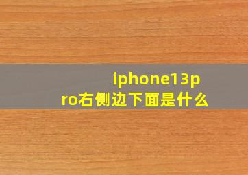 iphone13pro右侧边下面是什么