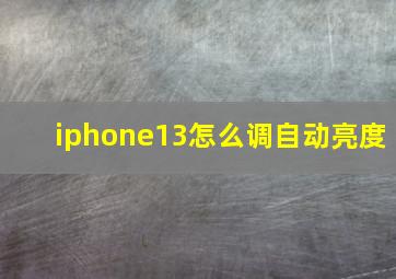 iphone13怎么调自动亮度