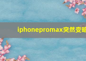 iphonepromax突然变暗