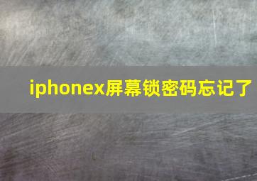 iphonex屏幕锁密码忘记了