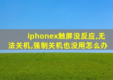 iphonex触屏没反应,无法关机,强制关机也没用怎么办