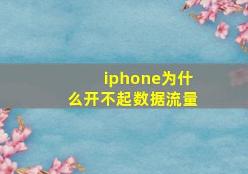 iphone为什么开不起数据流量