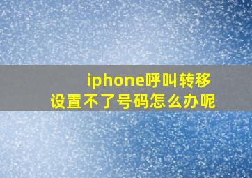 iphone呼叫转移设置不了号码怎么办呢