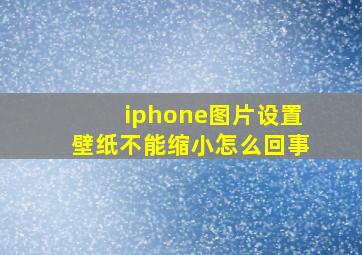 iphone图片设置壁纸不能缩小怎么回事