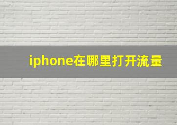 iphone在哪里打开流量