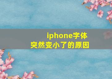 iphone字体突然变小了的原因