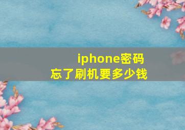 iphone密码忘了刷机要多少钱