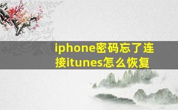 iphone密码忘了连接itunes怎么恢复