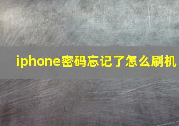 iphone密码忘记了怎么刷机