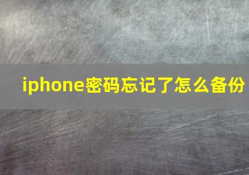 iphone密码忘记了怎么备份