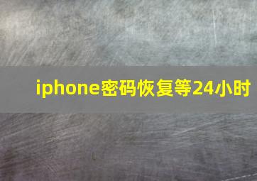 iphone密码恢复等24小时