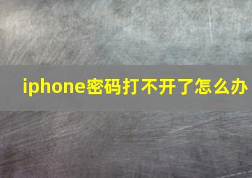 iphone密码打不开了怎么办