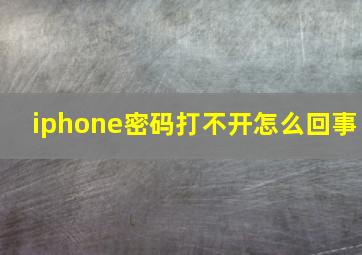 iphone密码打不开怎么回事