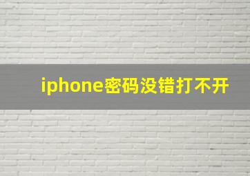 iphone密码没错打不开