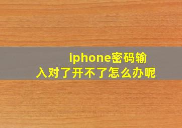 iphone密码输入对了开不了怎么办呢