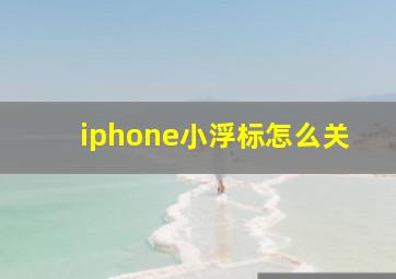 iphone小浮标怎么关