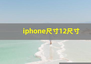 iphone尺寸12尺寸