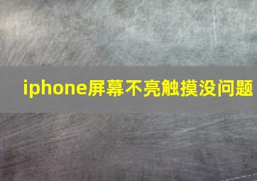 iphone屏幕不亮触摸没问题