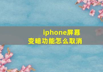 iphone屏幕变暗功能怎么取消