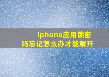 iphone应用锁密码忘记怎么办才能解开