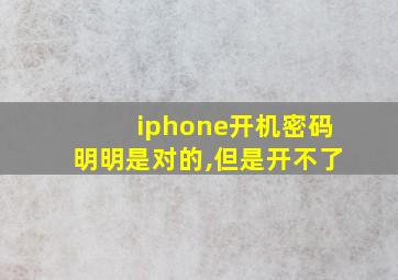 iphone开机密码明明是对的,但是开不了