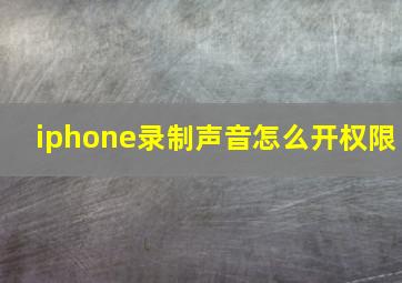 iphone录制声音怎么开权限