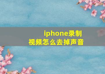 iphone录制视频怎么去掉声音