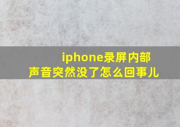 iphone录屏内部声音突然没了怎么回事儿