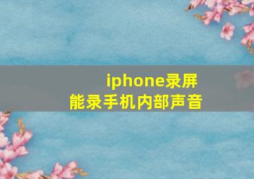 iphone录屏能录手机内部声音